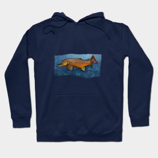 Brown Trout II Hoodie